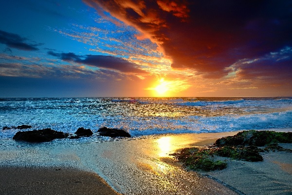 Hình nền/biển hoàng hôn: Với bức hình nền biển hoàng hôn, bạn sẽ được chiêm ngưỡng khung cảnh trầm lắng trong niềm hạnh phúc. Bầu trời chuyển từ màu xanh dương sang màu đỏ và vàng, tạo cho bạn cảm giác như đang bước vào tình trạng thư giãn kì diệu.