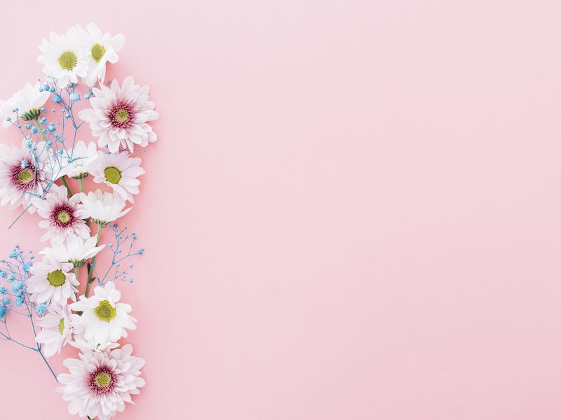 Hoa là sự lựa chọn tuyệt vời cho một hình nền đẹp trên PowerPoint. Chúng tôi cung cấp những hình nền hoa đẹp nhất để bạn có thể tạo nên một bản slide giản đơn nhưng ấn tượng. Hãy truy cập trang web của chúng tôi để khám phá và tải xuống những hình ảnh hoa đẹp mắt này ngay hôm nay!