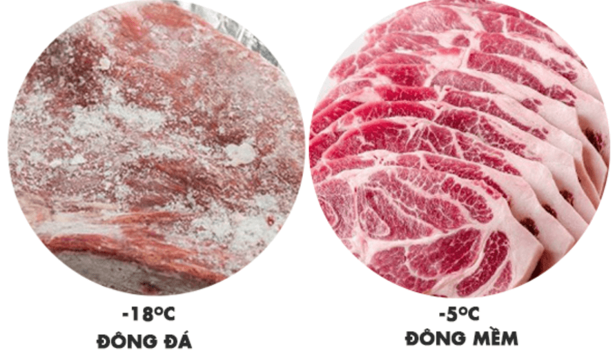 Nhiệt độ bảo quản của tủ đông truyền thống thấp hơn tủ đông mềm