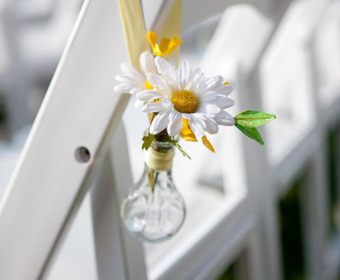 Hoa cúc họa mi: Đẹp lộng lẫy và tinh tế là những cảm nhận đầu tiên khi chiêm ngưỡng bức ảnh này. Bạn sẽ được đắm chìm vào hương thơm quyến rũ và sức sống phô diễn trong bức tranh của chiếc hoa cúc họa mi này.