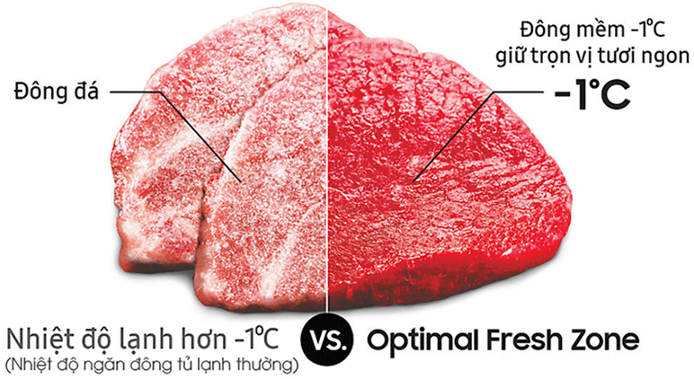 Công nghệ cấp đông mềm Optimal Fresh Zone trên tủ lạnh Samsung