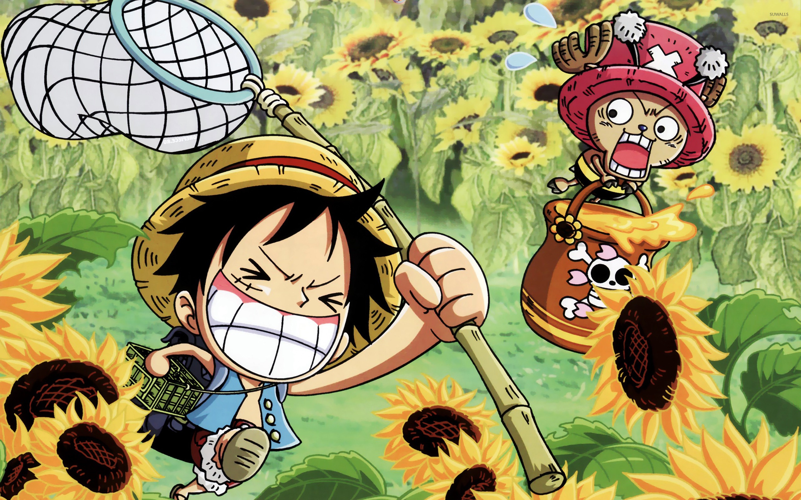 Hình Nền One Piece Ngầu, Đẹp, Chất Lượng 4K | HacoLED
