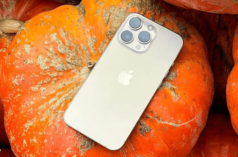 iPhone 13 Pro phiên bản silver 