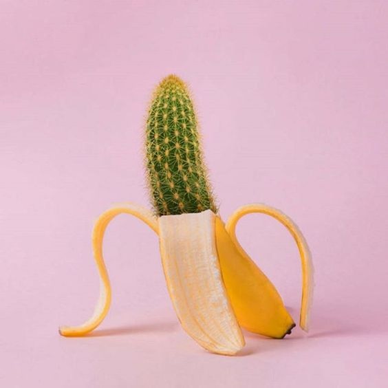 Hình ảnh trái cây thay ruột photoshop