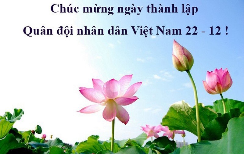 Ngày 22/12 với những hình ảnh đẹp sẽ mang đến cho chúng ta những kỷ niệm đáng nhớ. Hãy cùng chiêm ngưỡng những hình ảnh đẹp từ đất nước Việt Nam trong ngày đặc biệt này để cảm nhận được vẻ đẹp của quê hương ta.