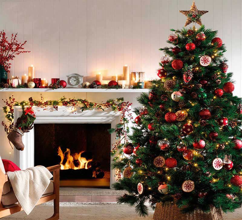 Hãy ngắm nhìn những cây thông Noel đẹp ngất ngây với những chiếc quả giáng sinh và những đèn led lung linh, tạo nên một không gian đầy ấm áp và rực rỡ cho gia đình bạn trong mùa lễ hội này.