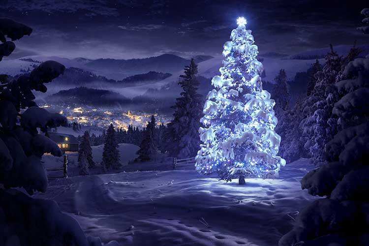Hình ảnh cây thông Noel sẽ khiến bạn ngất ngây với vẻ đẹp lộng lẫy, toả sáng trong tiết Giáng Sinh. Nét tinh tế, chú ý đến từng chi tiết của nó làm nên một không khí lễ hội đầy ấm áp.