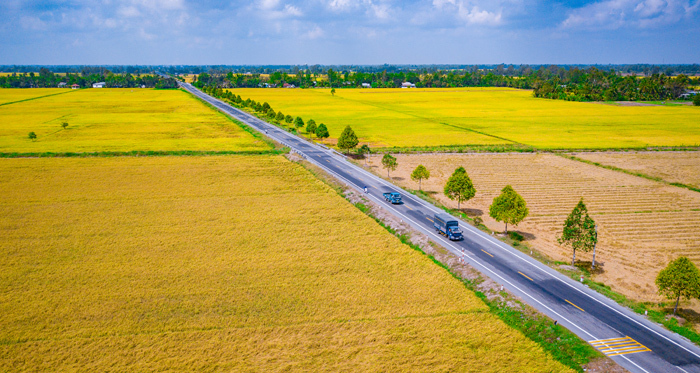 1ha bằng bao nhiêu sào?