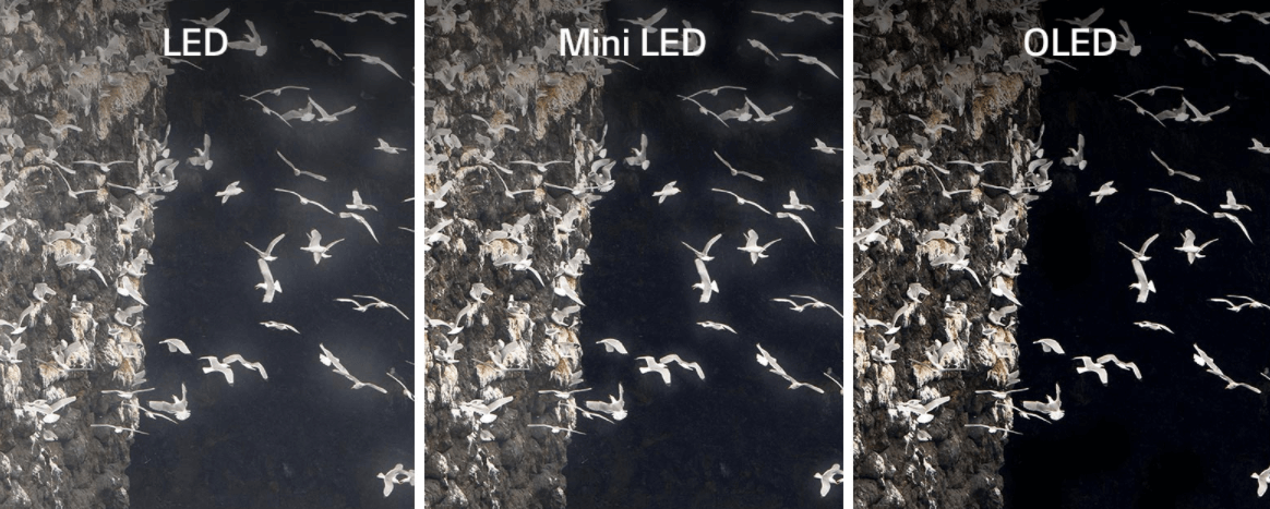 Dòng tivi LG OLED 2021