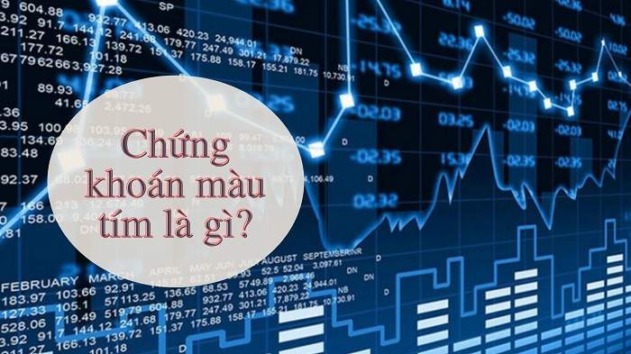 Màu tím trong chứng khoán là gì? Mã cổ phiếu màu tím là gì? - META.vn