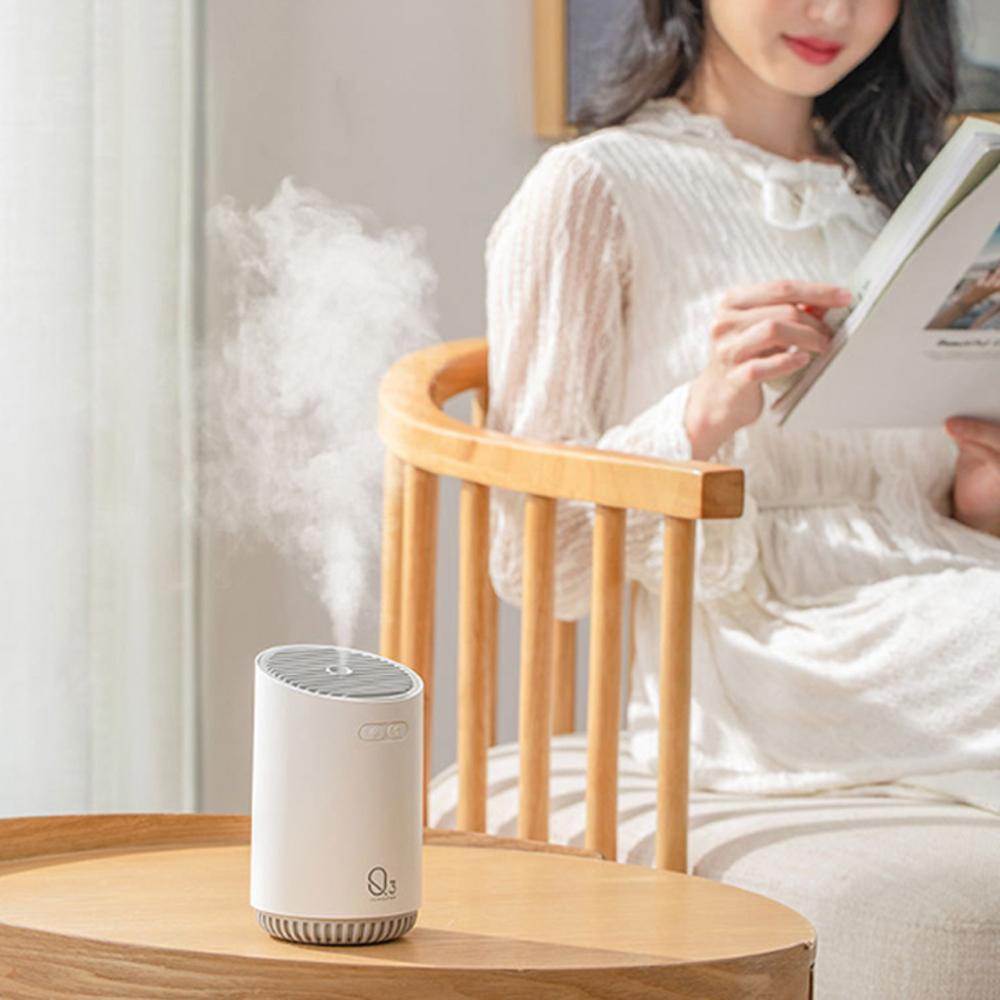 Máy phun sương tạo ẩm mini giá bao nhiêu?