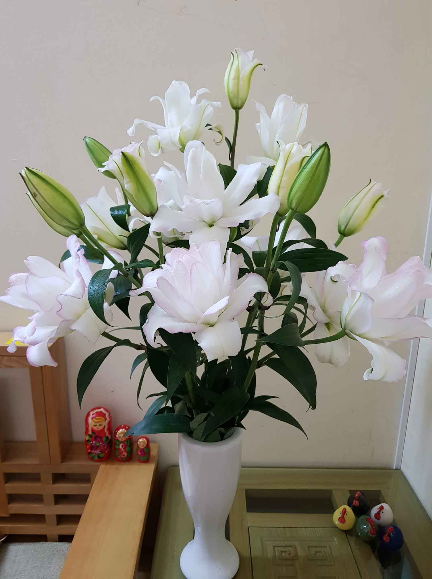 Hoa Lily kép Rose Lily - DLHF990 - Đặt hàng Coop Online