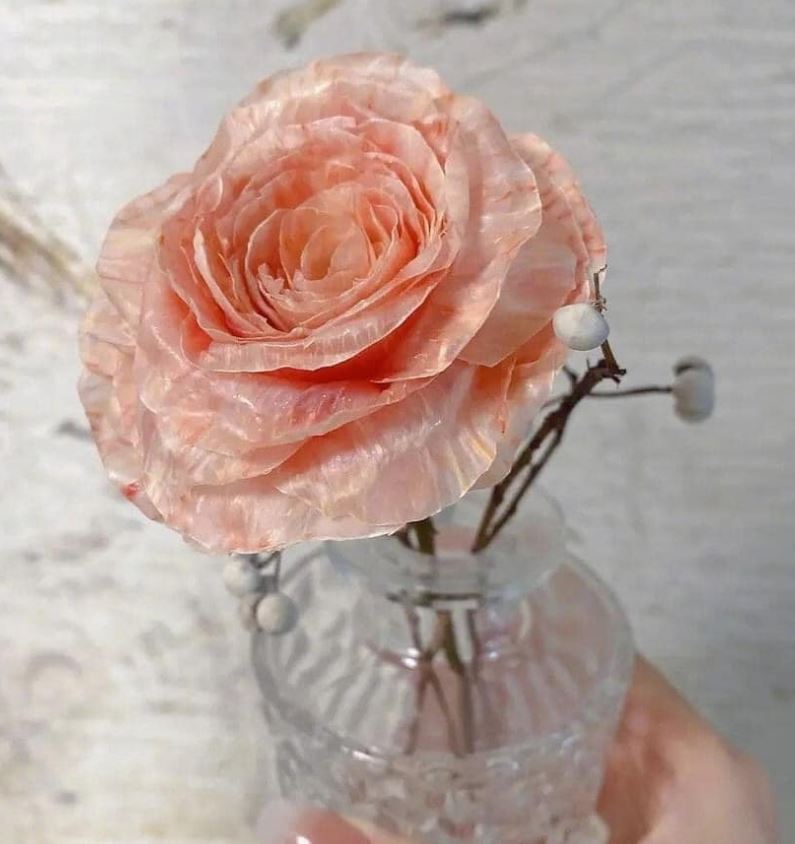 Cách làm hoa hồng bằng vỏ bưởi đơn giản mà đẹp
