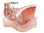 Điểm G là gì? Điểm G của nam, của nữ ở vị trí nào?