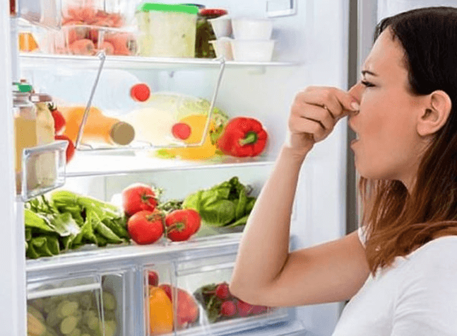 Nguyên nhân ngăn đá tủ lạnh có mùi hôi