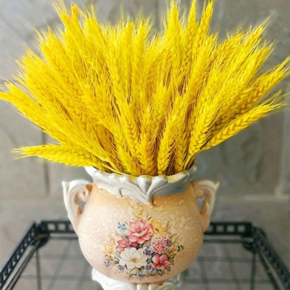 Cách cắm hoa lúa mạch đẹp và ý nghĩa hoa lúa mạch - META.vn