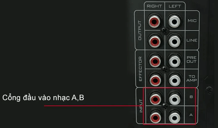 Tìm cổng kết nối “Input” trên amply