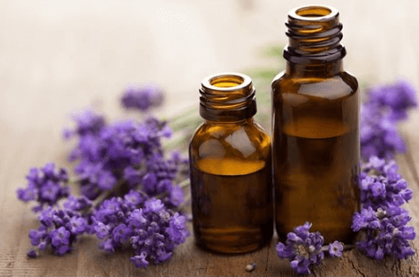 Sử dụng tinh dầu chiết xuất từ nguyên liệu thiên nhiên để khử mùi hôi trong phòng máy lạnh
