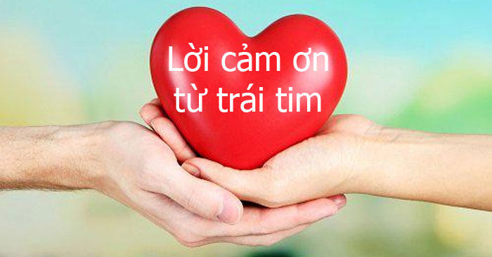 Trái tim - Trái tim là trung tâm của tình yêu và cảm xúc. Hãy để hình ảnh về trái tim gợi lên những cảm xúc tuyệt vời nhất trong con người chúng ta.