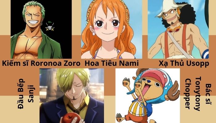 Tên Và Hình Ảnh Các Nhân Vật Chính Trong One Piece Đầy Đủ Nhất