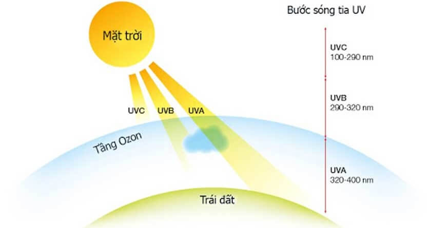 Công nghệ UVC ức chế sự phát triển của vi khuẩn