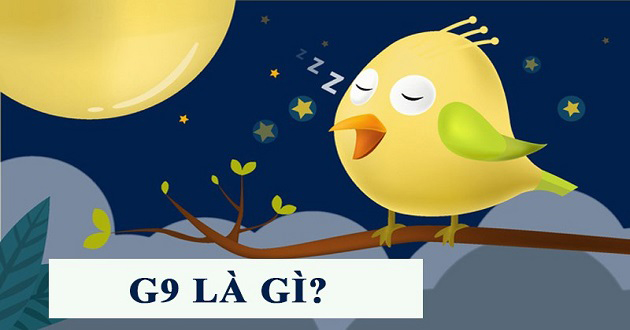G9 có liên quan đến ngủ như thế nào?
