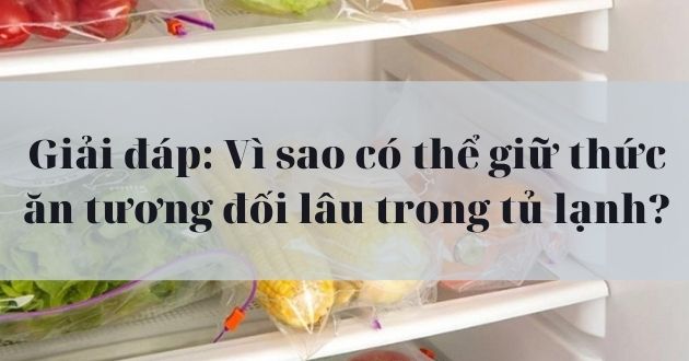 Giải đáp: Vì sao có thể giữ thức ăn tương đối lâu trong tủ lạnh?