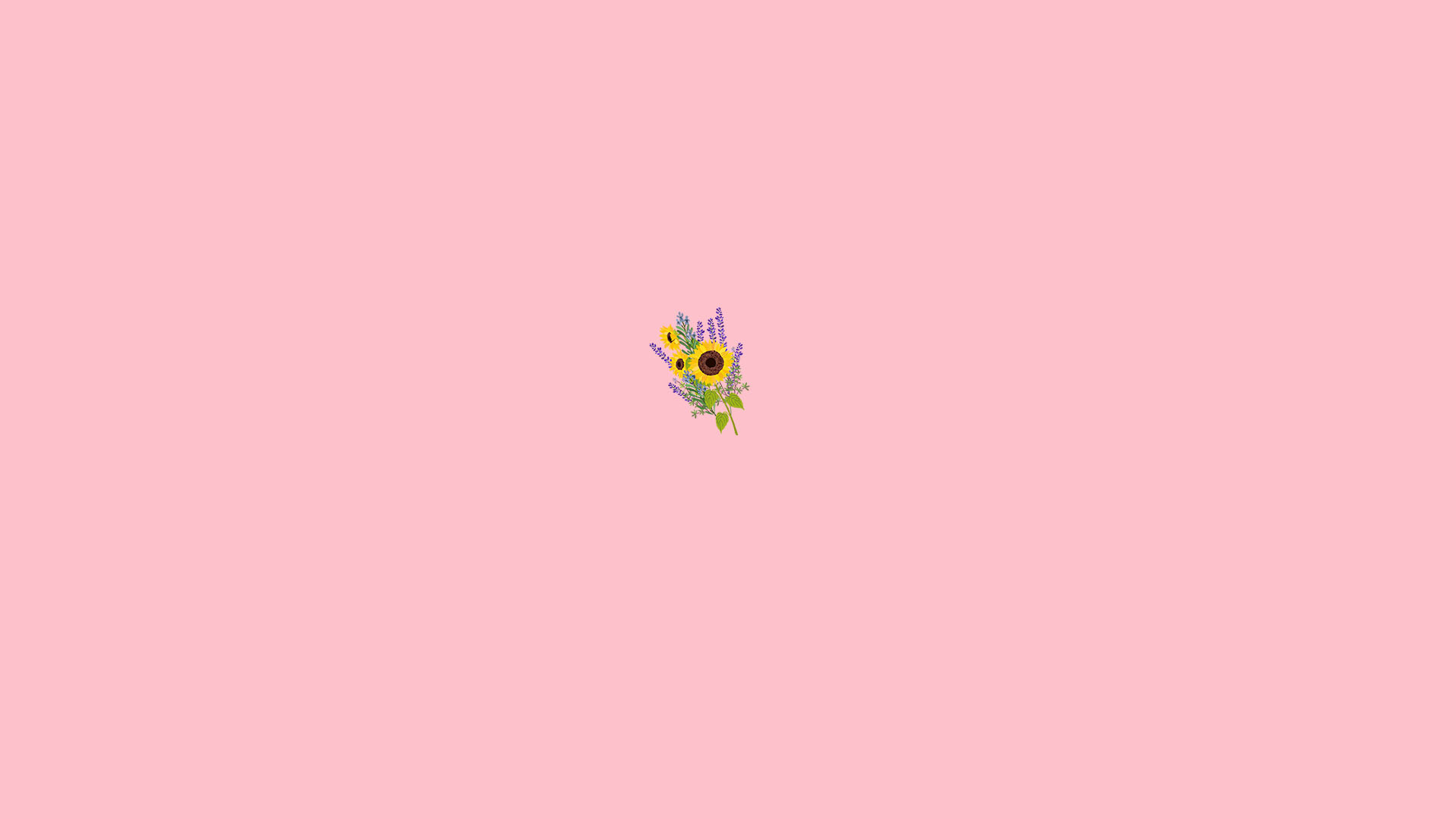 Top 100+ Hình nền màu hồng Đẹp, Dễ Thương, Cute dành cho điện thoại 29 |  Pink flowers background, Flower backgrounds, Flower background wallpaper