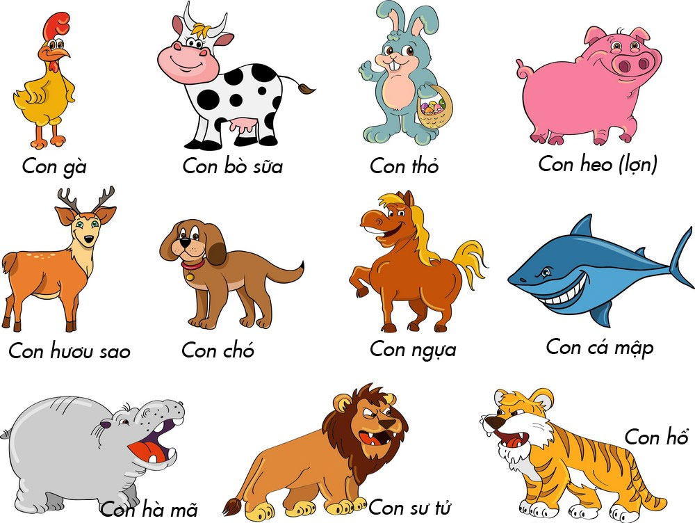 Học tiếng Anh qua hình ảnh con vật thường thấy tại gia đình