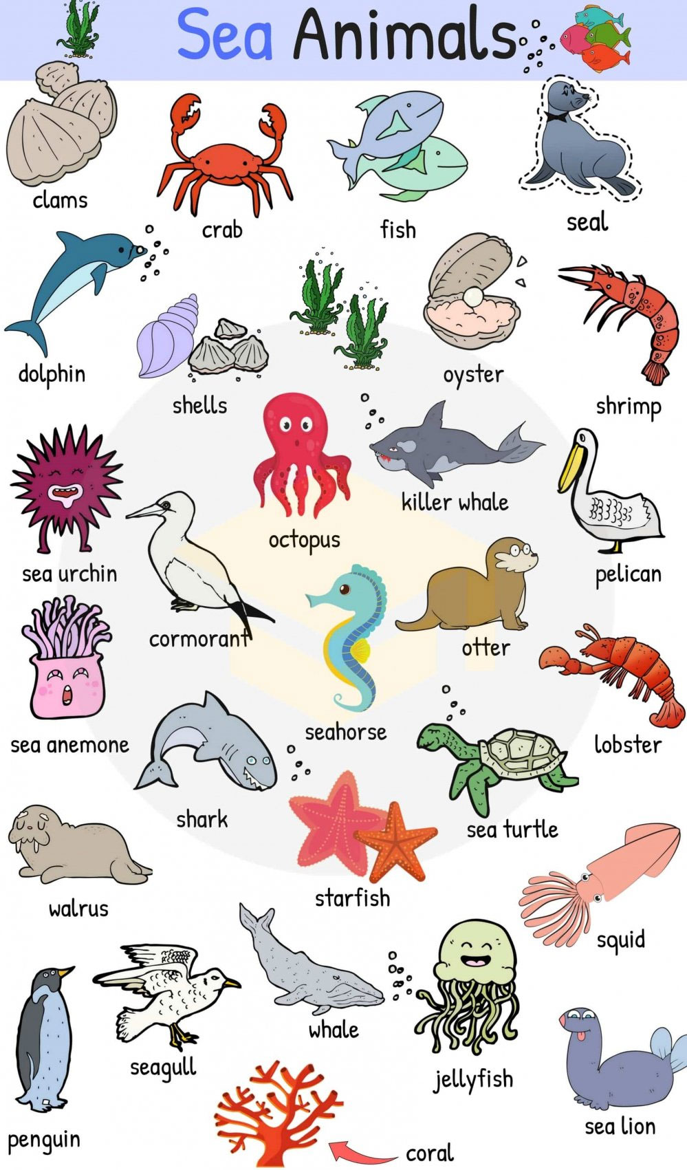 Hình hình họa và tên thường gọi những loài vật mang đến nhỏ nhắn nhận thấy - META.vn