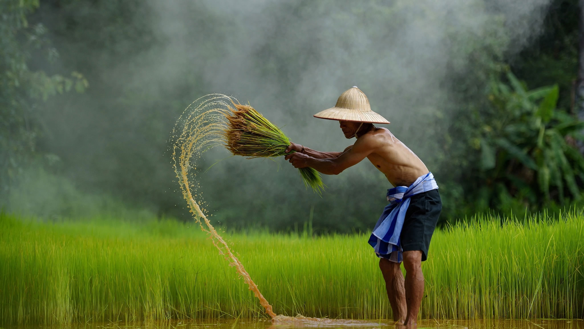 Những hình ảnh quê hương Việt Nam tuyệt đẹp  Ông đồ xứ nghệ