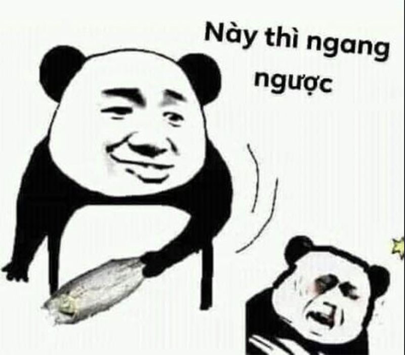 Meme gấu trúc bựa, meme gấu trúc troll face siêu hài - META.vn