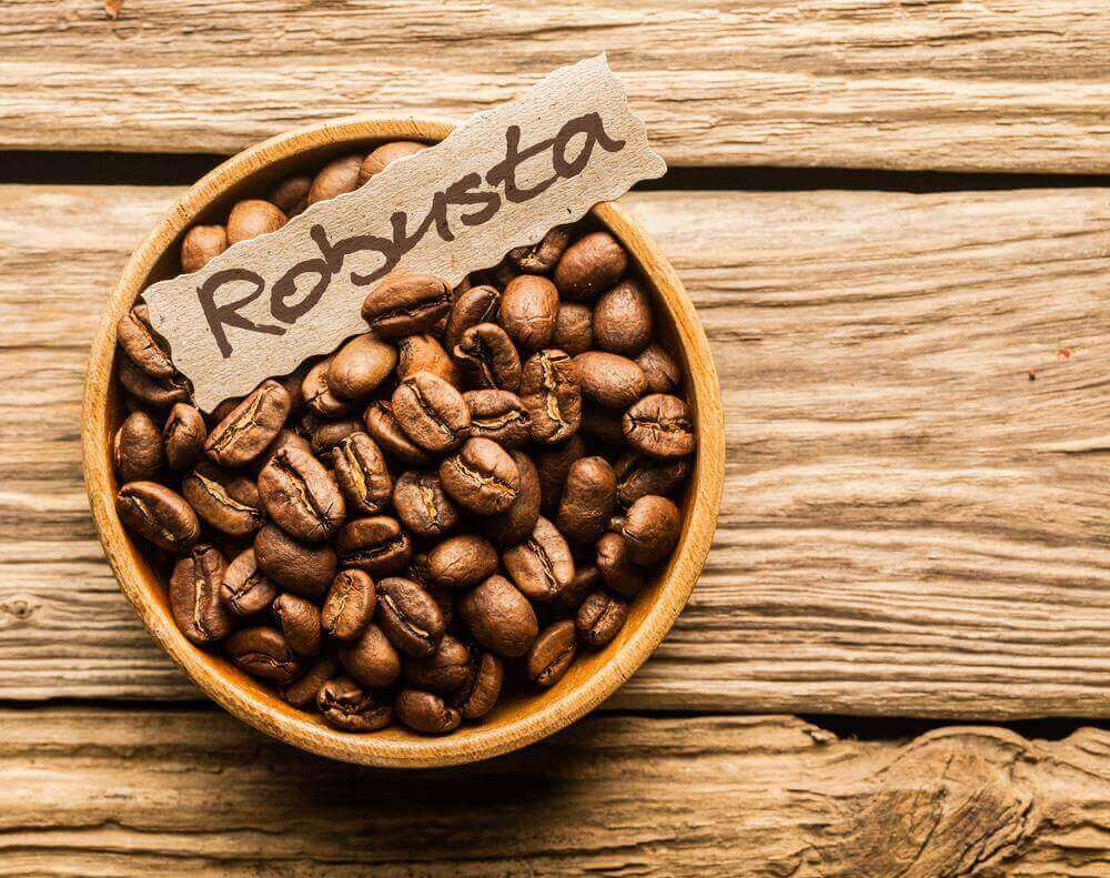 Hạt cà phê Robusta