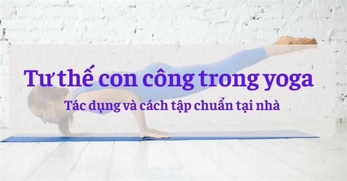 Tư thế con công trong yoga: Tác dụng và cách tập chuẩn tại nhà