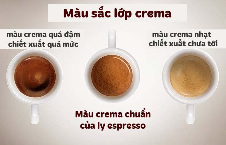 Crema cho biết điều gì?