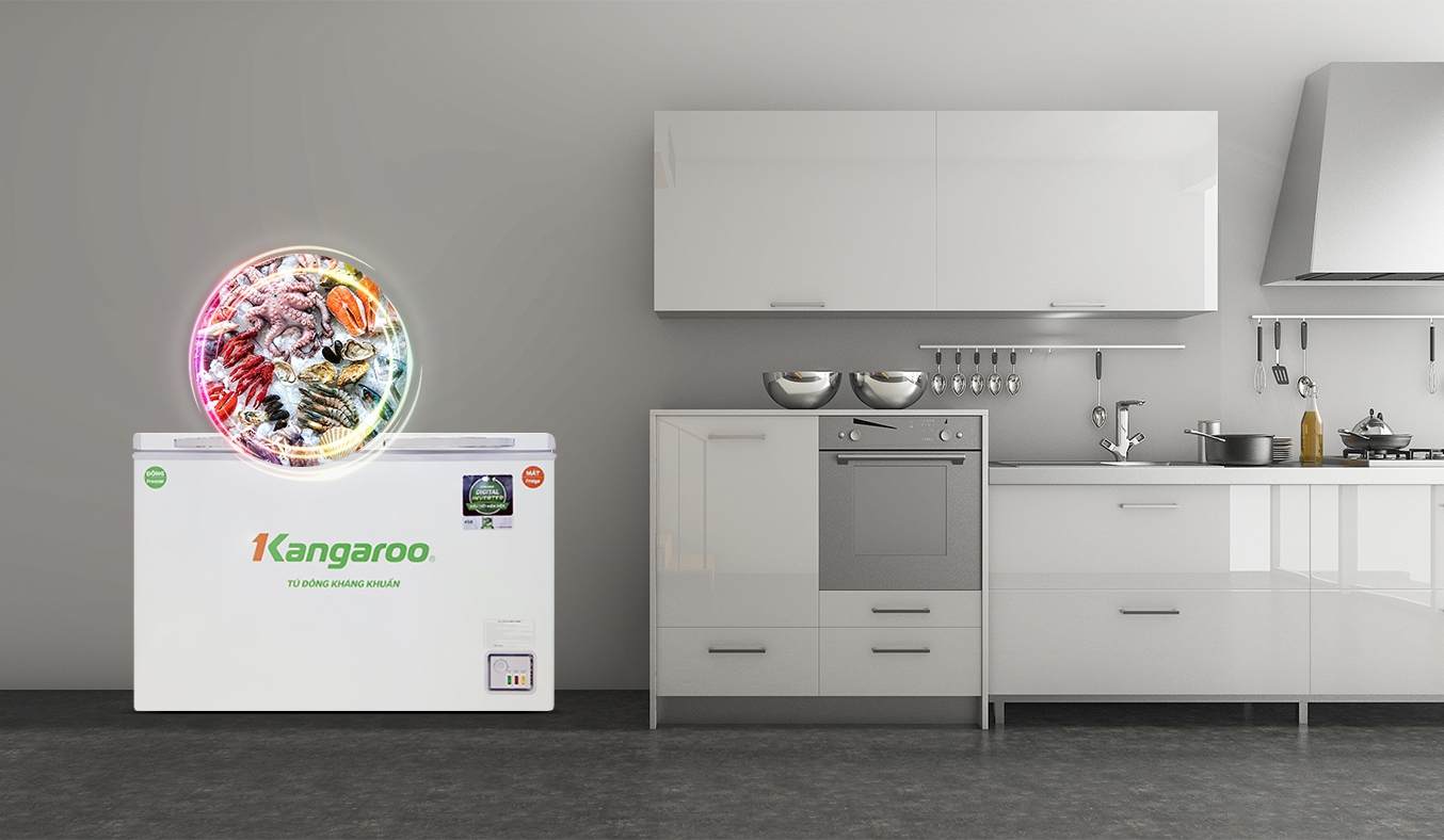 Những lưu ý khi sử dụng tủ đông Kangaroo