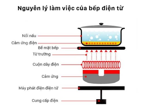 Cơ chế hoạt động của bếp từ