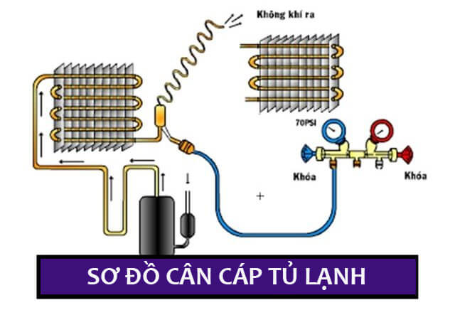 Sơ đồ cân cáp tủ lạnh