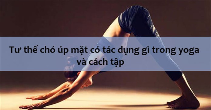 Tư thế chó úp mặt có tác dụng gì trong yoga và cách tập