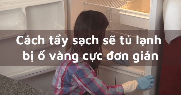 Những vấn đề thường gặp khi vệ sinh tủ mát và cách xử lý