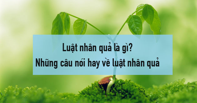 Luật nhân quả là gì? Những câu nói hay về luật nhân quả trong cuộc sống