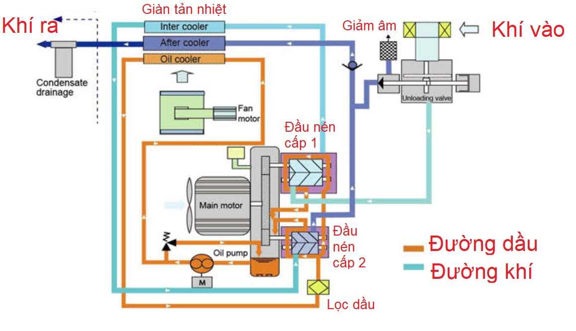 Sơ đồ nguyên lý hoạt động của máy nén khí trục vít không dầu