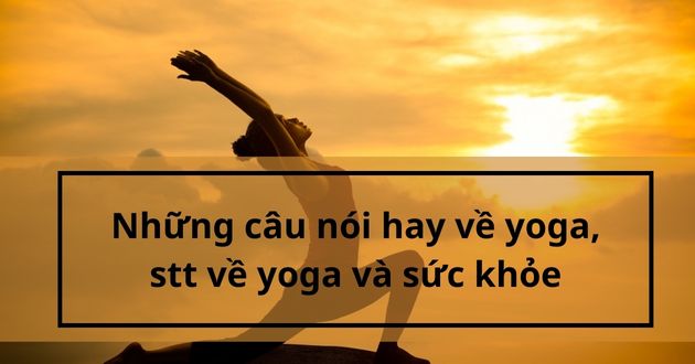 Những câu nói hay về yoga, stt về yoga và sức khỏe - META.vn