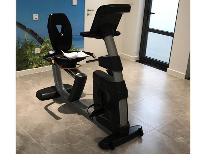 Xe đạp tập thể dục Impulse