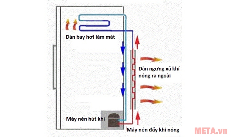 Cấu tạo của tủ lạnh.