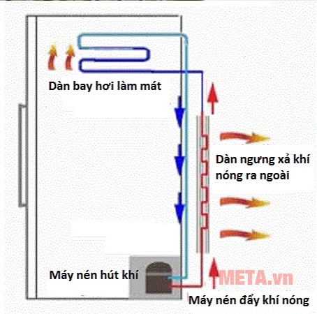 Cấu tạo của tủ lạnh