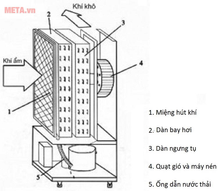 Nguyên lý hoạt động của máy hút ẩm dạng ngưng tụ