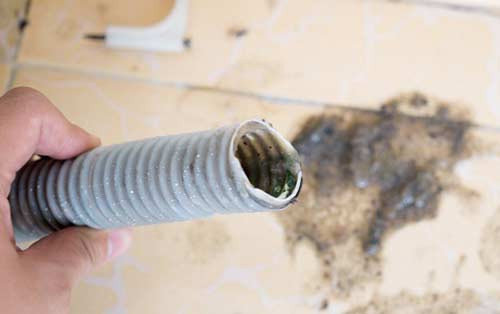 Nguyên nhân lỗi E1 trên máy giặt Sharp