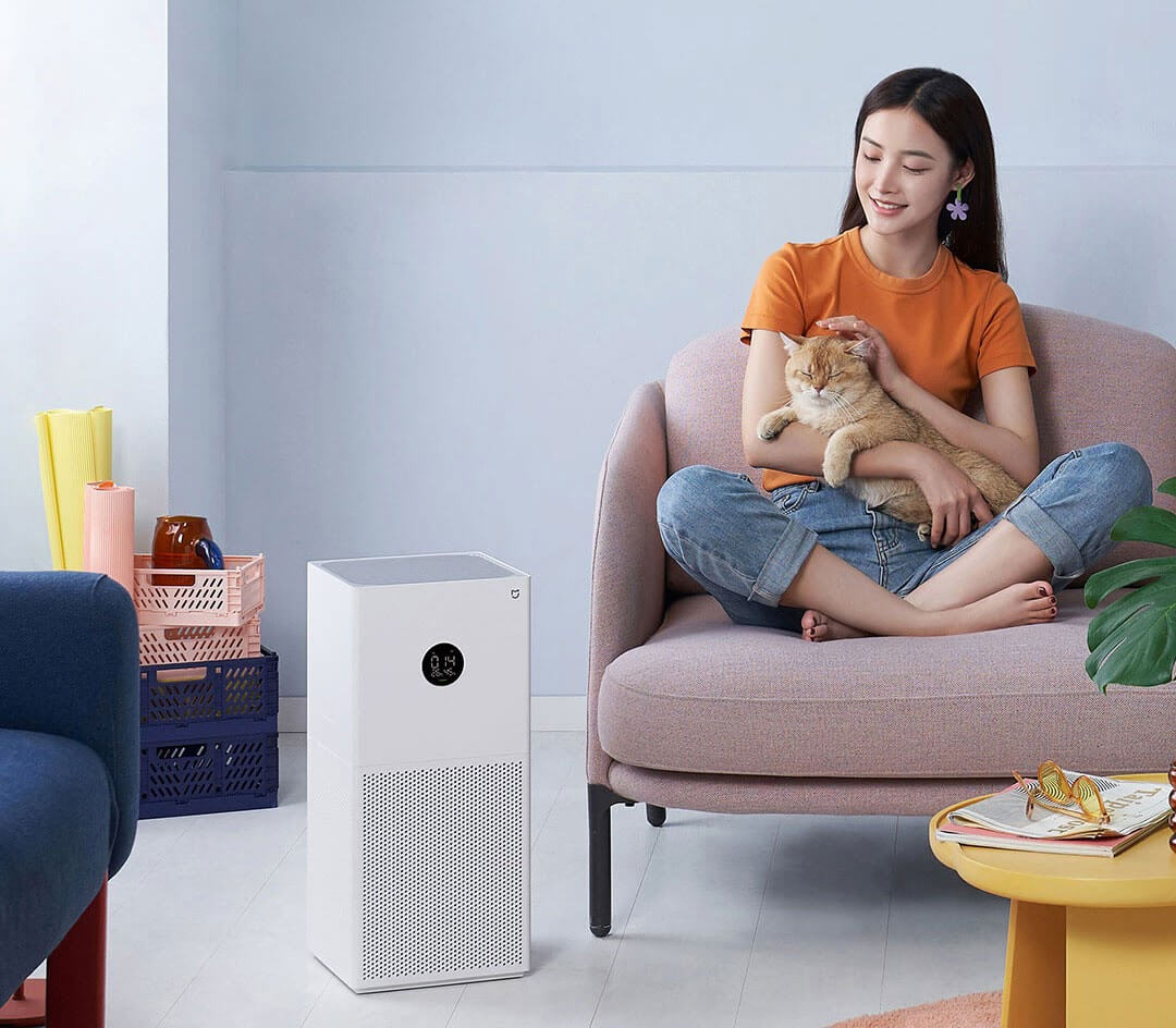 Xử lý lông thú cưng để làm sạch không khí trong nhà