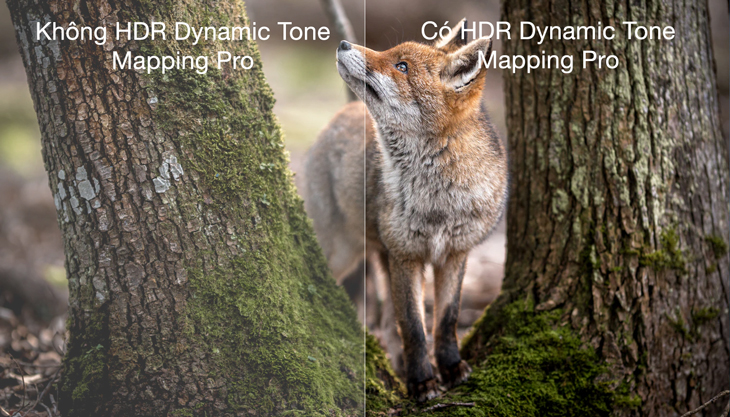 Công nghệ hình ảnh Dynamic Tone Mapping Pro trên tivi LG